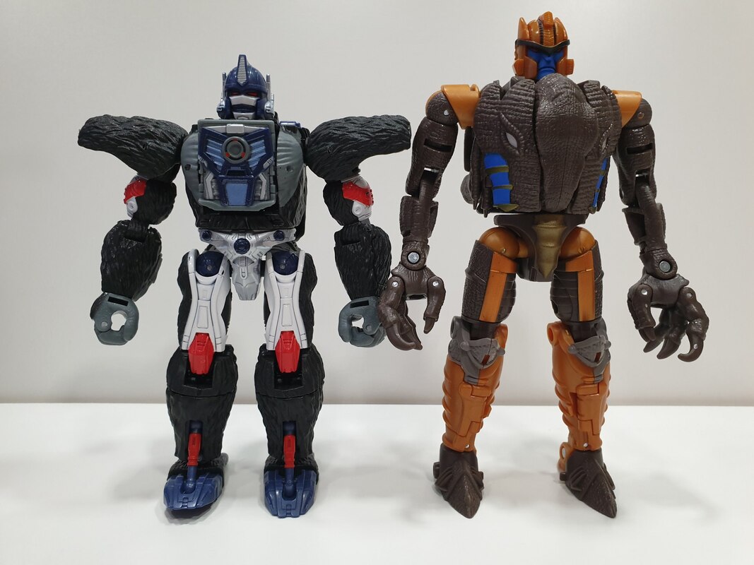 transformers kingdom dinobot review